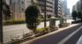 前面道路（春日通り）