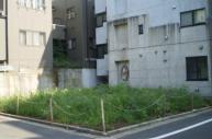 更地