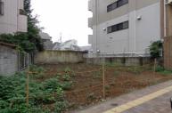 更地