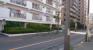 前面道路（柴又街道）