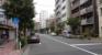 前面道路（一葉桜・光月通り）