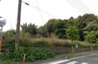 更地