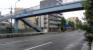 前面道路（目白通り）