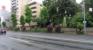 前面道路（目白通り）