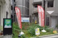 更地