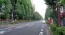 前面道路（本郷通り）