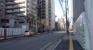 前面道路（市役所通り）