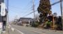前面道路（旧川越街道）