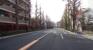 前面道路（目白通り）