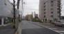 前面道路（世田谷通り）