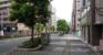 前面道路（区役所本前通り）