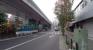 前面道路（山手通り）