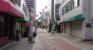 前面道路（樹モール）