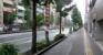 前面道路（音羽通り）